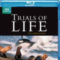 Cover Art for 5051561002106, Trials of Life [Blu-ray] by Unbranded