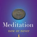 Cover Art for 9780718193058, Meditation Now or Never by Steve Hagen