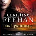 Cover Art for 9780349405728, Dark Promises by Christine Feehan