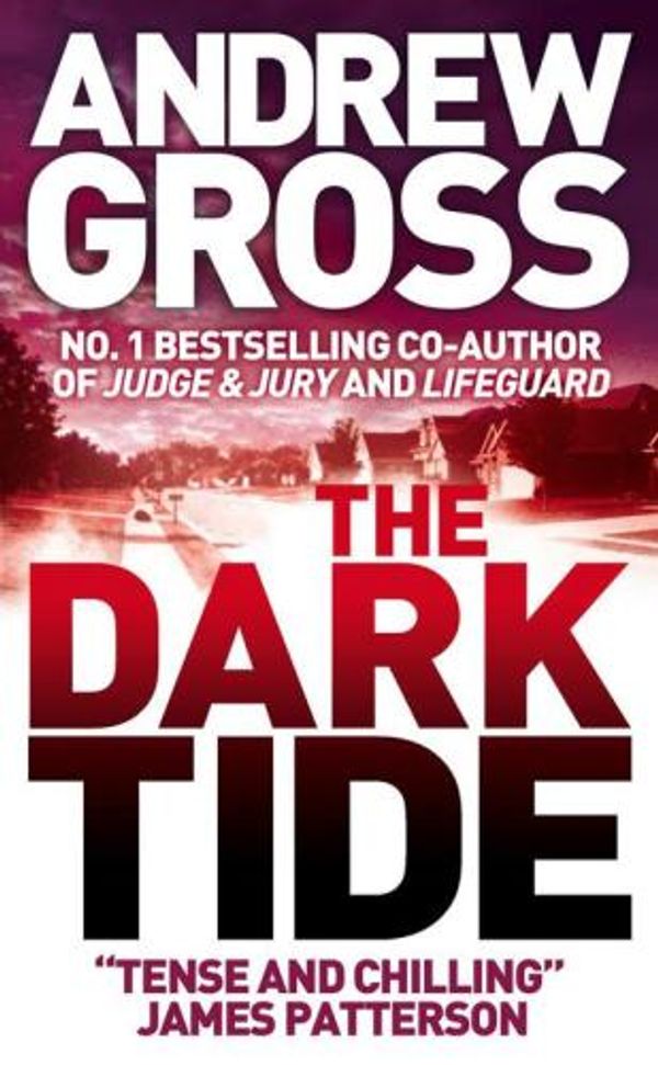 Cover Art for 9780007844487, The Dark Tide by Andrew Gross