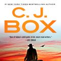 Cover Art for 9780593331262, Shadows Reel by C. J. Box