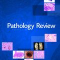 Cover Art for 9781550594584, Pathology Review by Zu-hua Gao, MD, PhD, FRCPC