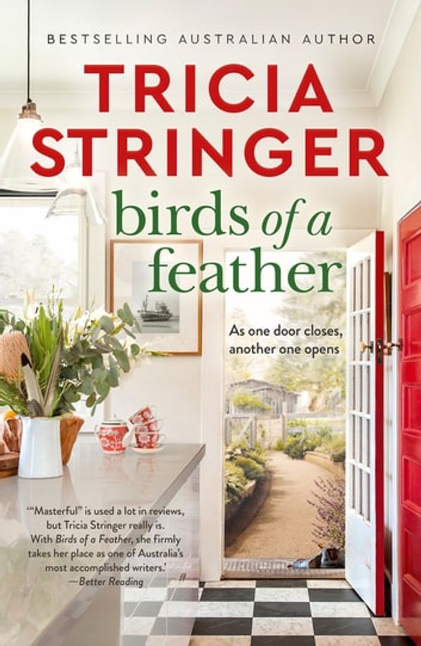 Cover Art for 9781489270856, Birds of a Feather by Tricia Stringer
