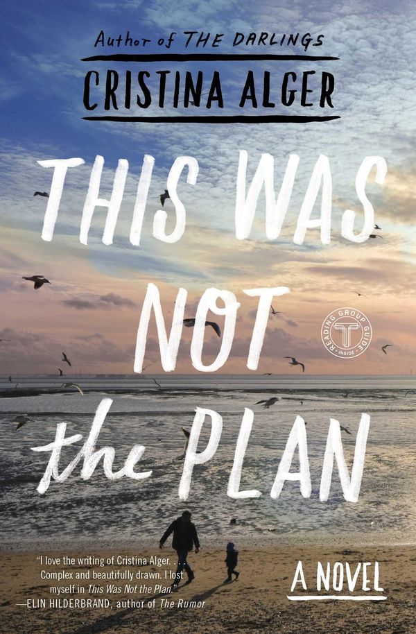 Cover Art for 9781501103773, This Was Not the Plan by Cristina Alger