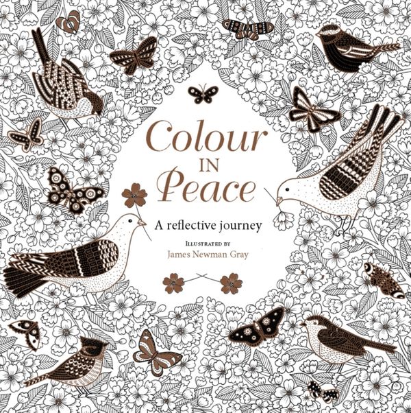 Cover Art for 9780745968797, Colour in PeaceA Reflective Journey by Newman Gray, James