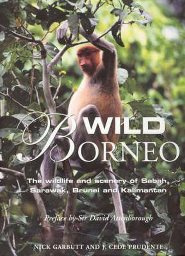 Cover Art for 9780262072748, Wild Borneo by Nick Garbutt