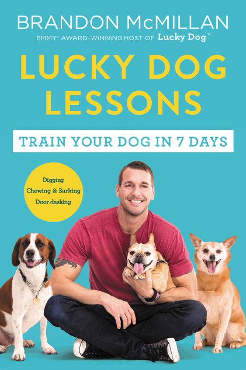 Cover Art for 9780062479020, Lucky Dog Lessons by Brandon McMillan