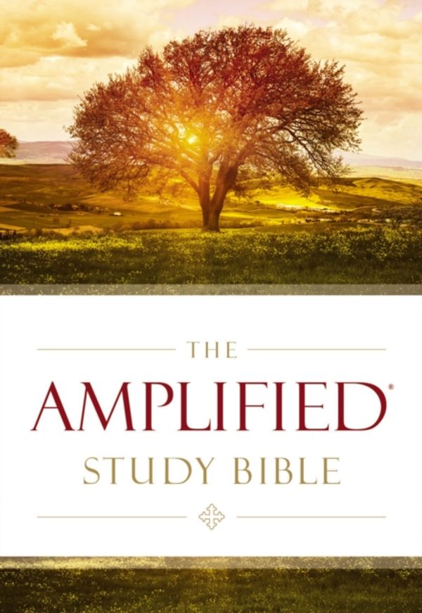 Cover Art for 9780310440307, Amplified Study Bible by Zondervan