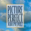 Cover Art for 9781441801395, Picture Perfect by Jodi Picoult