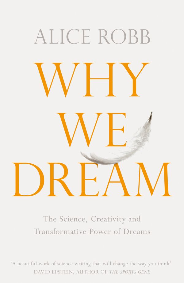 Cover Art for 9781509836260, Why We Dream: The New Science Behind Dreams and Why They Matter by Alice Robb