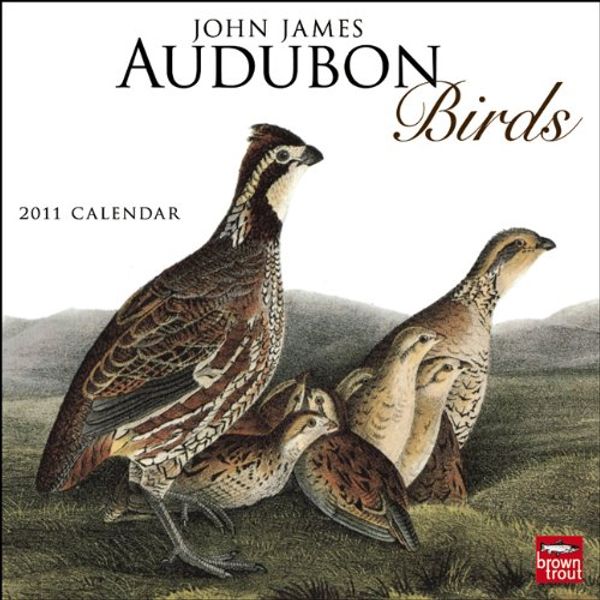 Cover Art for 9781421667188, John James Audubon Birds 2011 by BrownTrout Publishers Inc