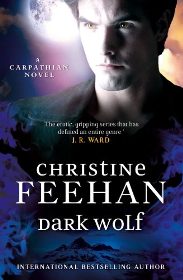 Cover Art for B00DI7HK9Q, Dark Wolf by Christine Feehan