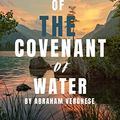 Cover Art for B0C4CY45FR, SUMMARY AND ANALYSIS OF THE COVENANT OF WATER BY ABRAHAM VERGHESE by Mitchell , Debree