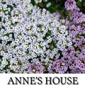 Cover Art for 1230000164357, Anne's House of Dreams by Lucy Maud Montgomery