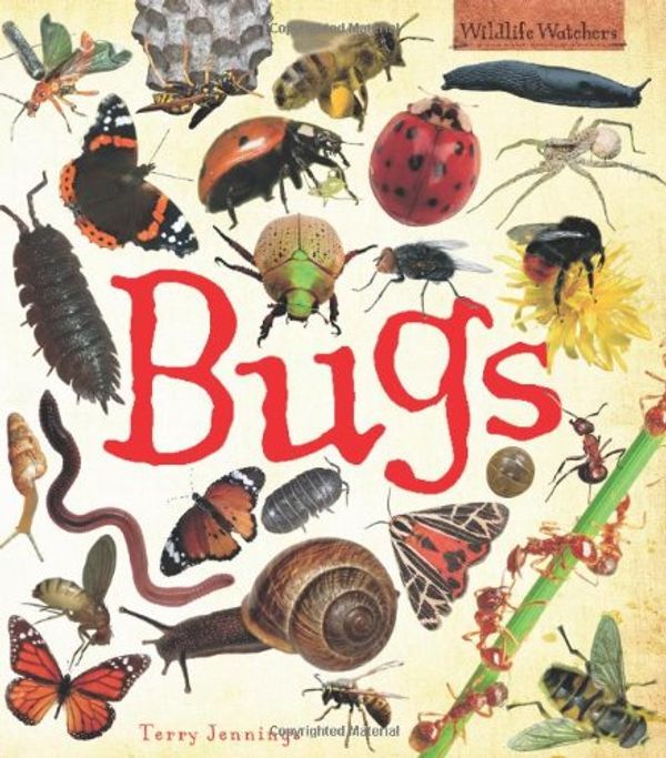 Cover Art for 9781848352346, Bugs by Terry Jennings