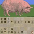 Cover Art for 9780241950609, The Chrysalids by John Wyndham