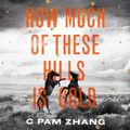 Cover Art for 9781405540803, How Much of These Hills is Gold by C Pam Zhang