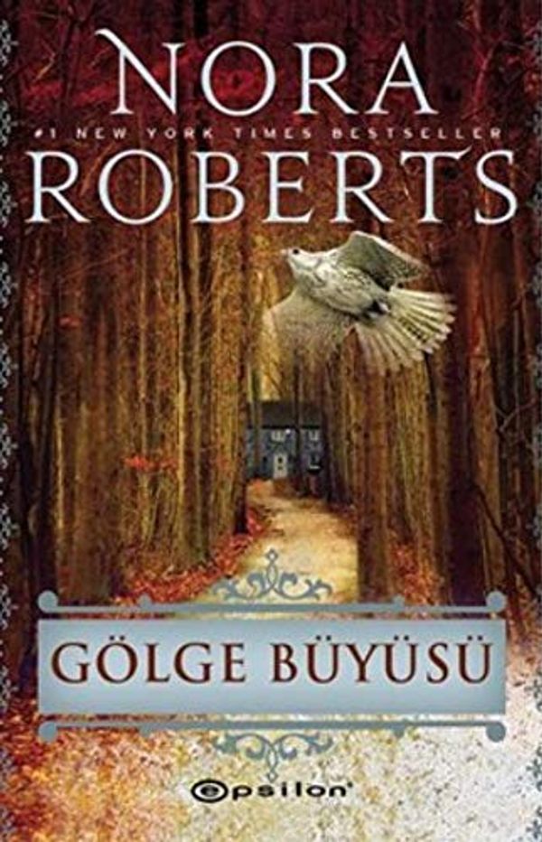 Cover Art for 9789944829809, Gölge Büyüsü by Nora Roberts