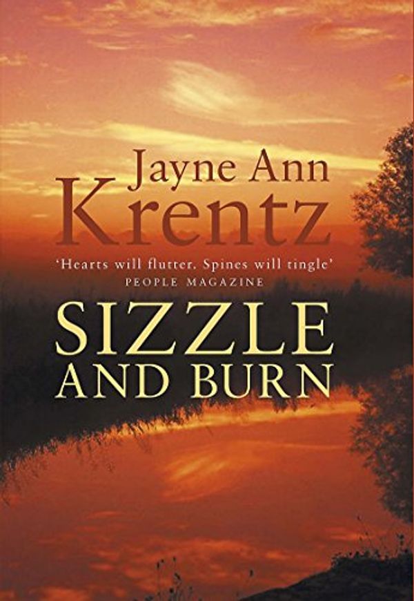 Cover Art for 9780749938574, Sizzle and Burn by Jayne Ann Krentz