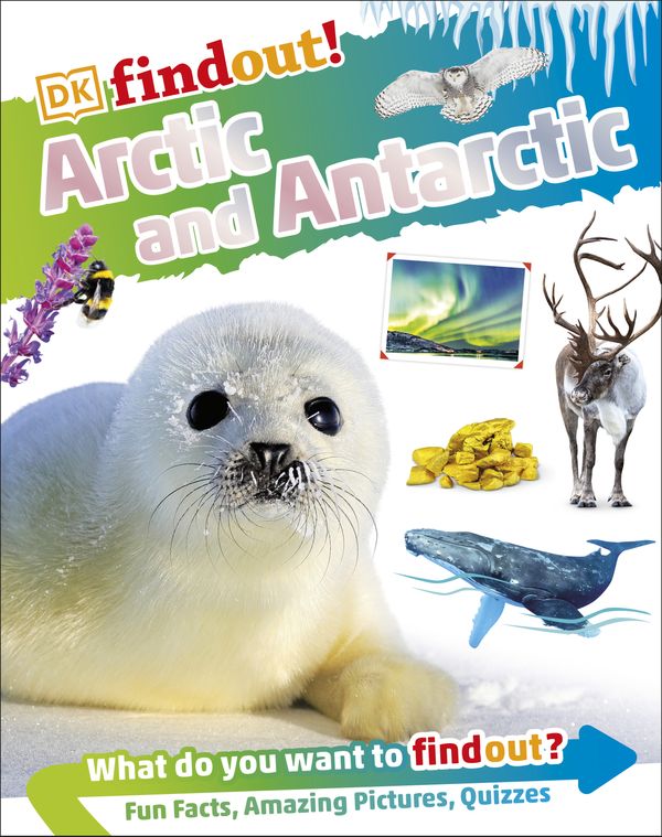 Cover Art for 9780744056532, Dkfindout! Arctic and Antarctic by DK