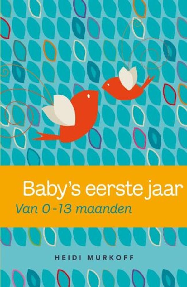 Cover Art for 9789000301232, Baby's eerste jaar / druk 1 by Murkoff, Heidi, Mazel, Sharon