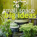 Cover Art for 9780143769750, Small Space Big Ideas by DK Australia