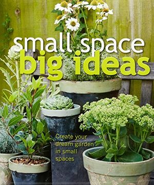 Cover Art for 9780143769750, Small Space Big Ideas by DK Australia