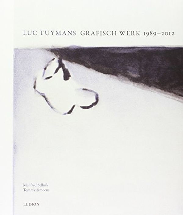 Cover Art for 9789461300959, Luc Tuymans / druk 1 by M Sellink