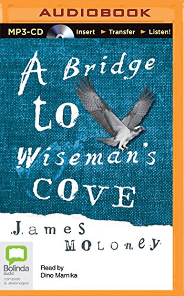 Cover Art for 9781489087119, A Bridge to Wiseman's Cove by James Moloney