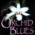 Cover Art for 9780399147777, Orchid Blues by Stuart Woods