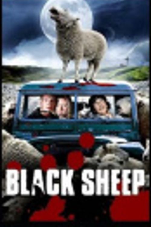 Cover Art for 9798747345669, The Black Sheep by Honore Balzac