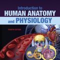 Cover Art for 9780323392839, Introduction to Human Anatomy and Physiology by Eldra Pearl Solomon