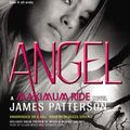 Cover Art for 9781607886969, Angel by James Patterson