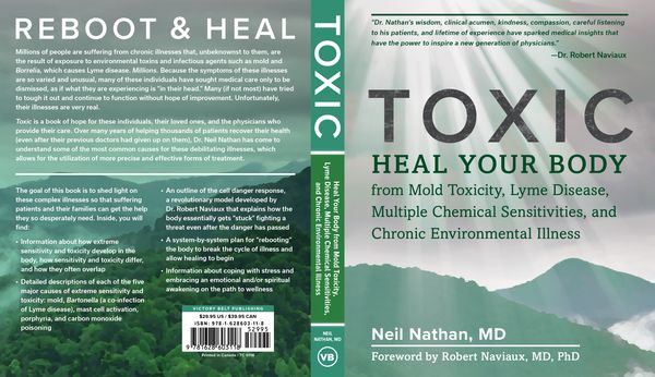 Cover Art for 9781628603118, Toxic by Neil Nathan