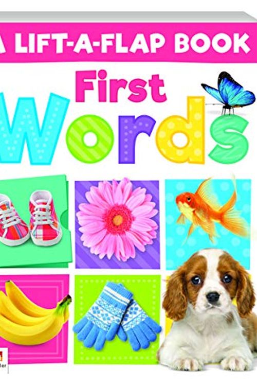 Cover Art for 9781488904769, First Words (refresh)Lift A Flap Series by Hinkler Books