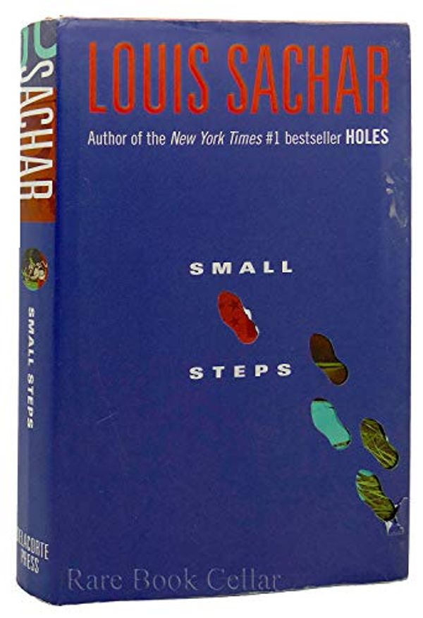 Cover Art for 9780385661577, Small Steps by Louis Sachar