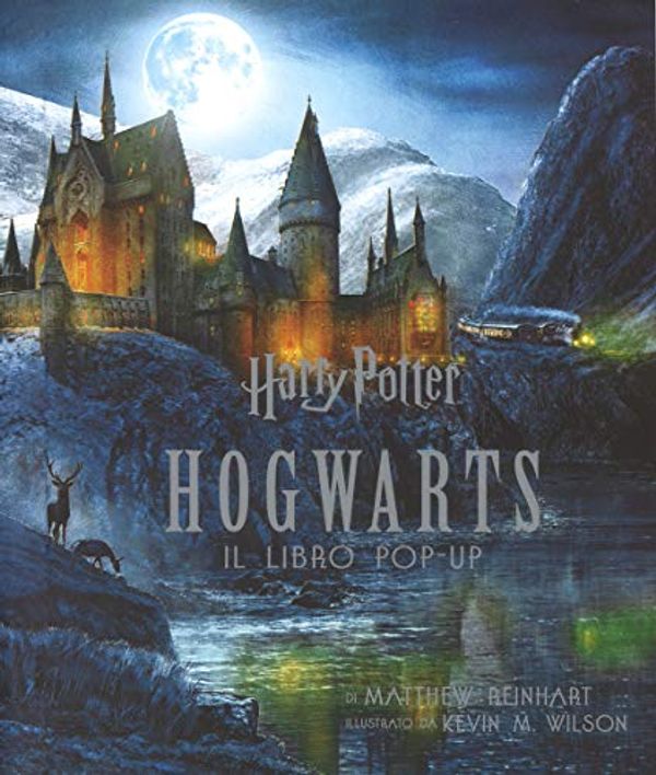 Cover Art for 9788893675253, Harry Potter. Hogwarts. Il libro pop-up by Matthew Reinhart