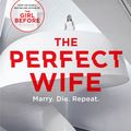 Cover Art for 9781786488527, The Perfect Wife by JP Delaney