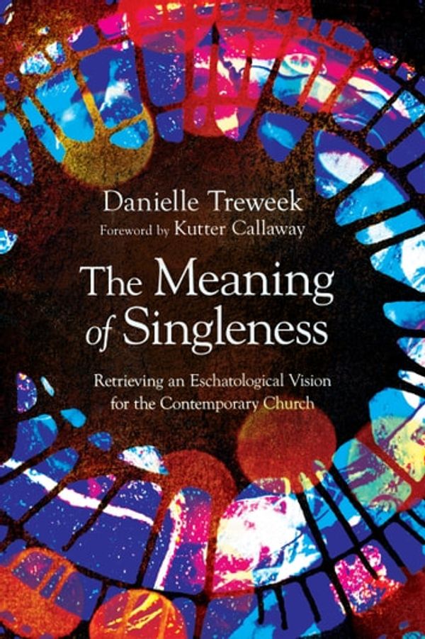 Cover Art for 9781514004869, The Meaning of Singleness by Danielle Treweek