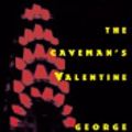Cover Art for 9780759562066, The Caveman's Valentine by George Dawes Green