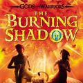 Cover Art for 9780803738805, The Burning Shadow by Michelle Paver