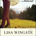Cover Art for 9780764208232, Firefly Island by Lisa Wingate