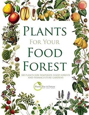 Cover Art for 9798520865087, PLANTS FOR YOUR FOOD FOREST: 500 PLANTS FOR TEMPERATE FOOD FORESTS AND PERMACULTURE GARDENS by Plants For A Future