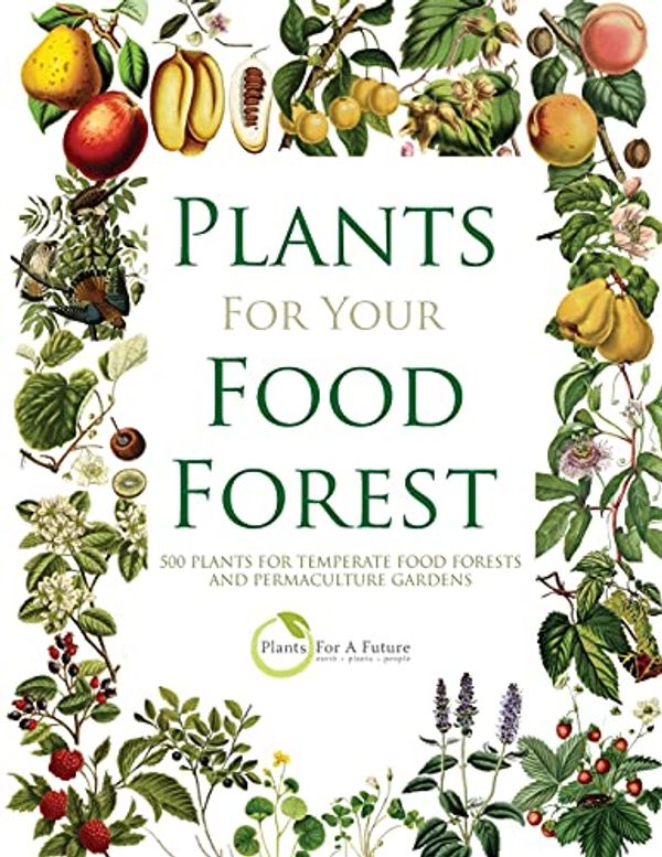 Cover Art for 9798520865087, PLANTS FOR YOUR FOOD FOREST: 500 PLANTS FOR TEMPERATE FOOD FORESTS AND PERMACULTURE GARDENS by Plants For A Future
