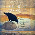 Cover Art for B07T911SZH, Awakening to the Spirit World: The Shamanic Path of Direct Revelation by Hank Wesselman Sandra Ingerman