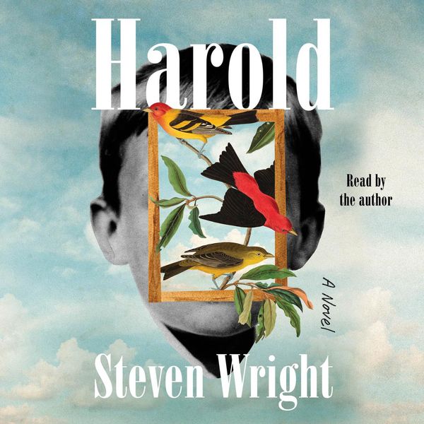 Cover Art for 9781797161525, Harold by Steven Wright