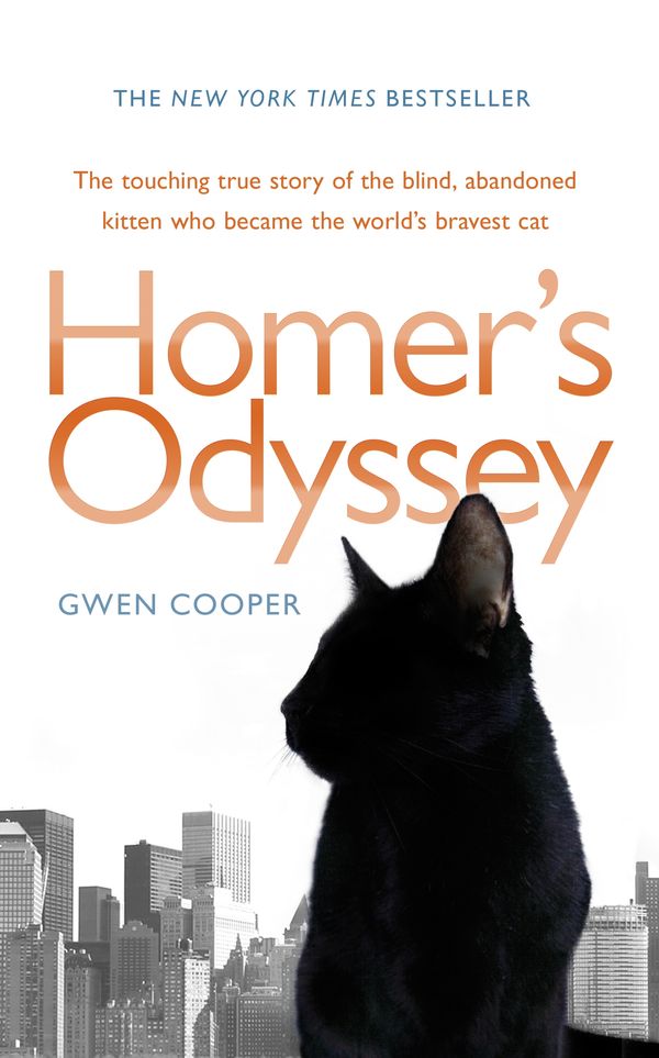 Cover Art for 9780553825152, Homer's Odyssey by Gwen Cooper