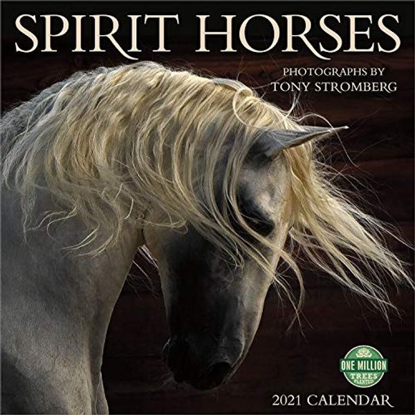 Cover Art for 9781631366857, Spirit Horses 2021 Wall Calendar by Tony Stromberg
