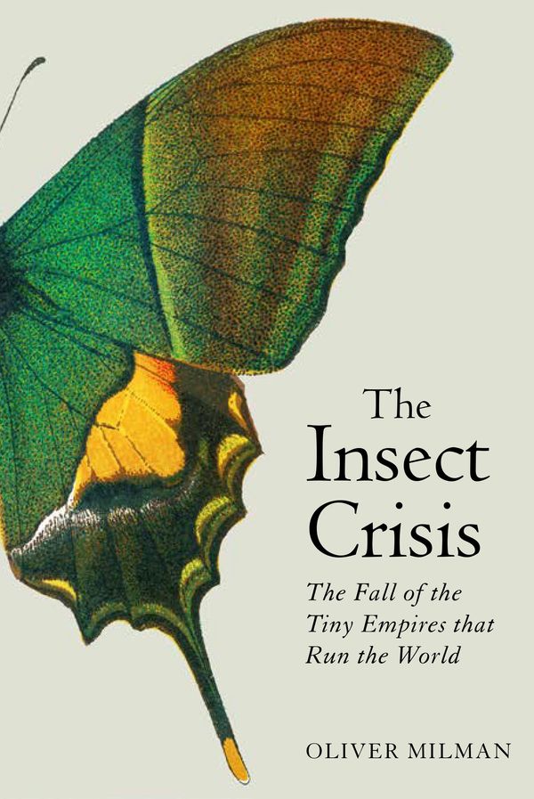 Cover Art for 9781838951177, The Insect Crisis by Oliver Milman