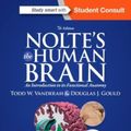 Cover Art for 9781455728596, Nolte's The Human Brain: An Introduction to its Functional Anatomy, 7e by Vanderah PhD, Todd, Gould PhD, Douglas J